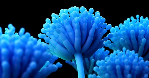 食品安全關乎我們健康，使用儀器快速檢測防止不健康的產(chǎn)品