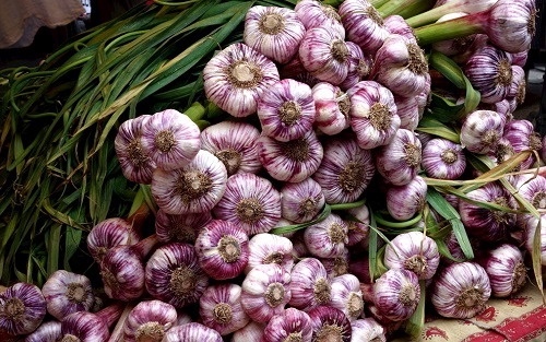 農(nóng)藥殘留檢測儀怎么樣：農(nóng)藥殘留檢測儀在農(nóng)貿(mào)市場中的應(yīng)用