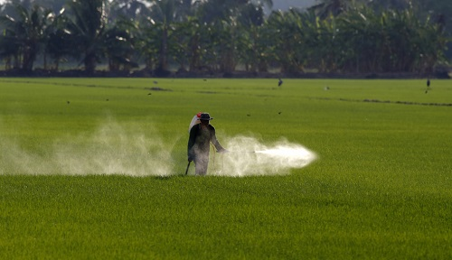 全自動農藥殘留檢測儀的功能特點有哪些？