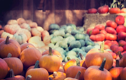 科學(xué)儀器的支持---農(nóng)藥殘留檢測儀對農(nóng)業(yè)生產(chǎn)的重要性！