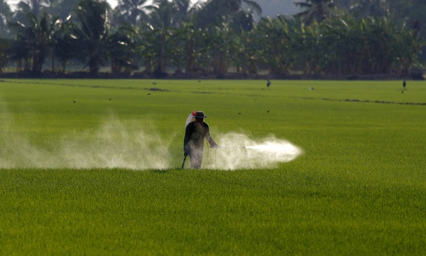 瓜果蔬菜的農(nóng)藥殘留怎么規(guī)避？如何判斷食品是否含有農(nóng)藥殘留