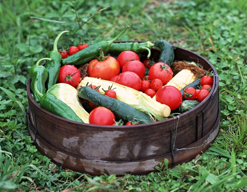 到底什么是農(nóng)藥殘留超標(biāo)？農(nóng)藥殘留檢測儀避免農(nóng)藥殘留超標(biāo)