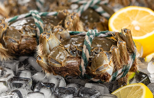 隔夜蟹、死螃蟹到底能不能吃？小心菌落總數(shù)激增