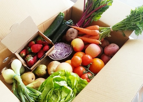 食品安全檢測儀可有效提高質量抽檢效率，為食品安全監督做出貢獻