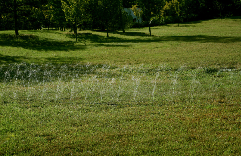 農(nóng)田智能化：土壤水分測定儀實(shí)時評估土壤水分狀況