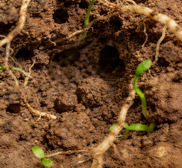 土壤養(yǎng)分快速檢測儀哪個靠譜？國產(chǎn)土壤養(yǎng)分速測儀權(quán)威評測與選購指南